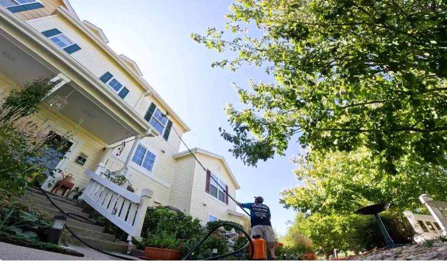Boutique storefront window cleaning on Avenida Del Mar